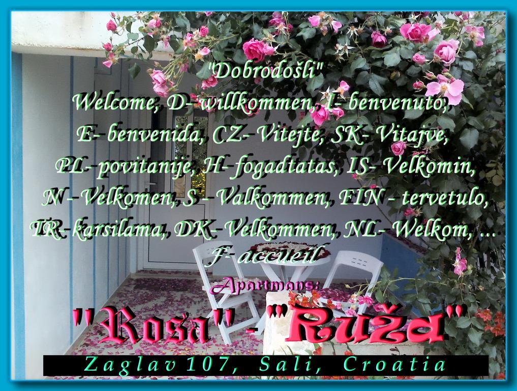 Apartment Ruza Sali Bagian luar foto